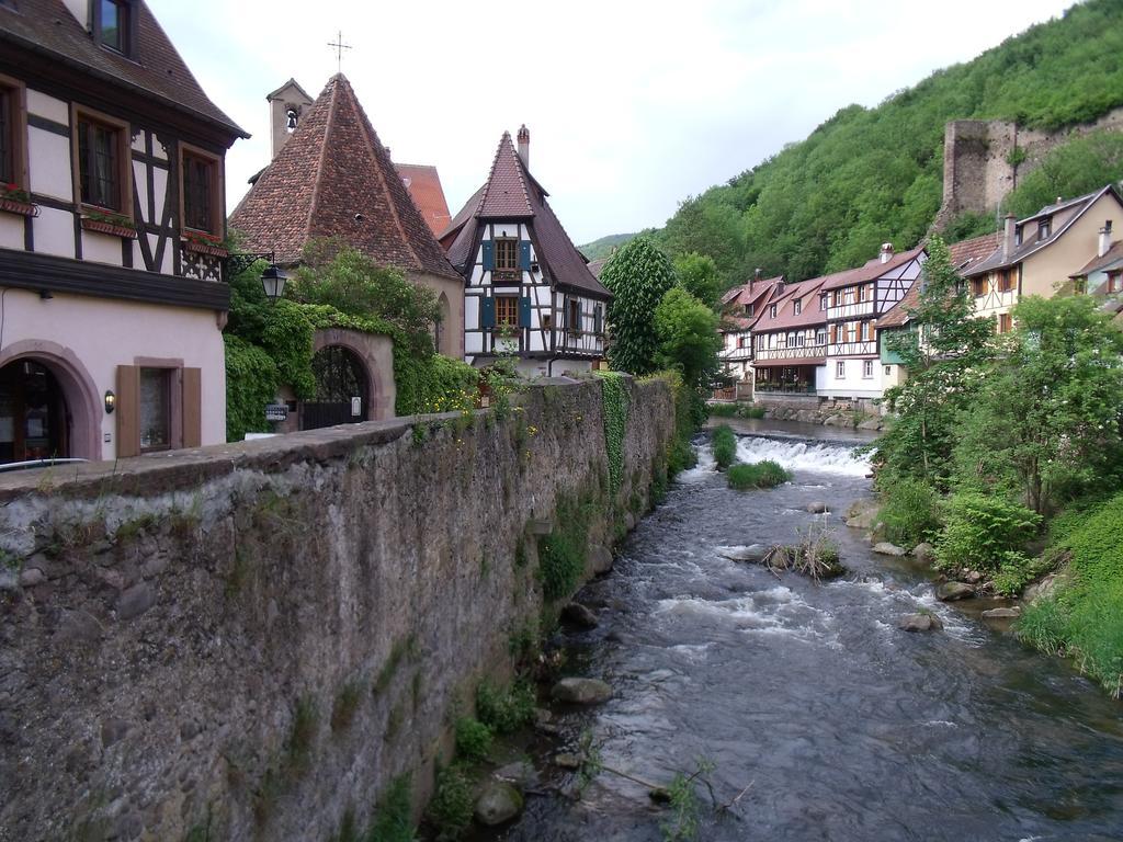 La Roseraie Villa Fréland Rum bild